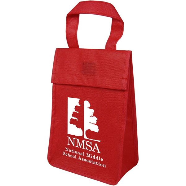 non insulated lunch bag