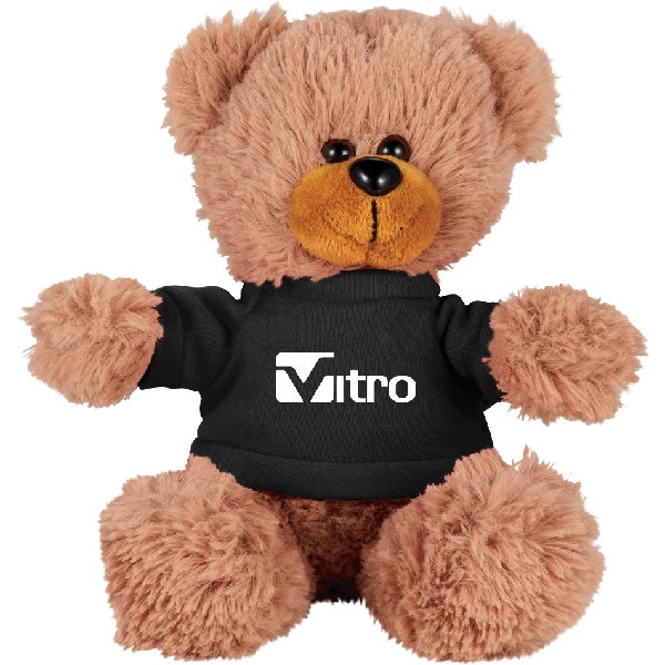 teddy bear promotional items